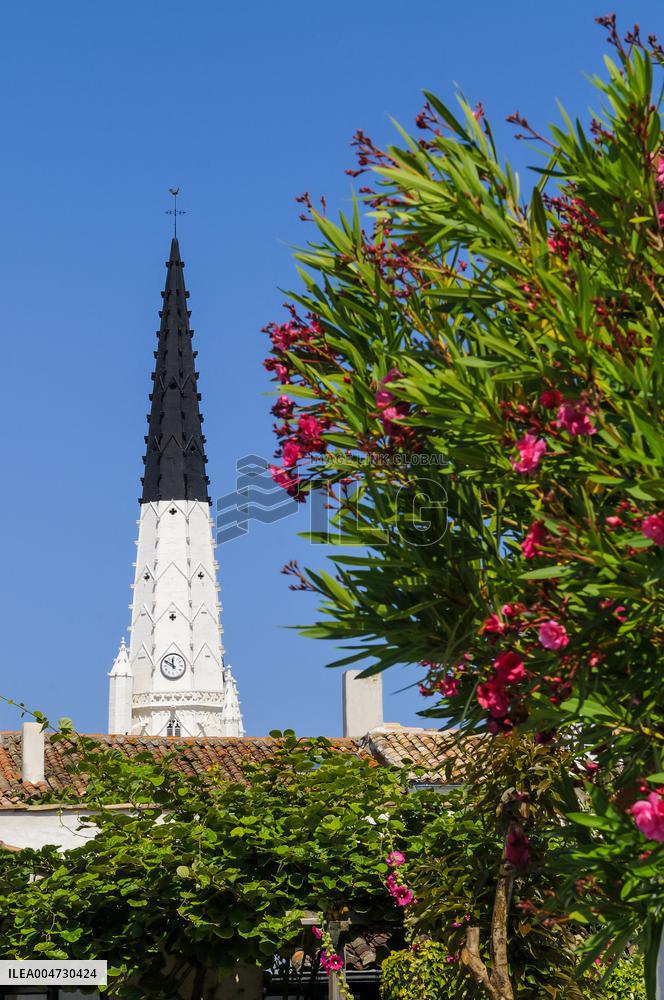 Illustration - Ile de Ré