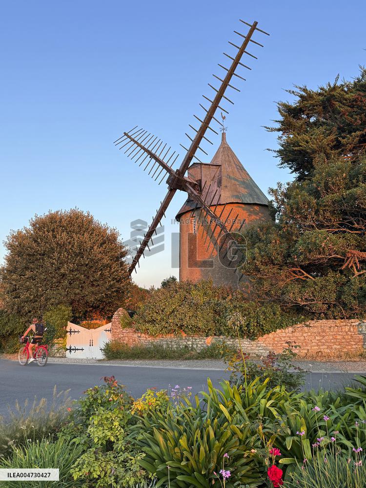 Illustration - Ile de Ré