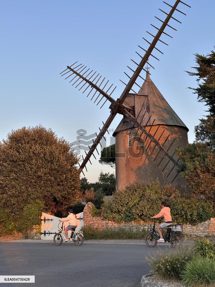 Illustration - Ile de Ré