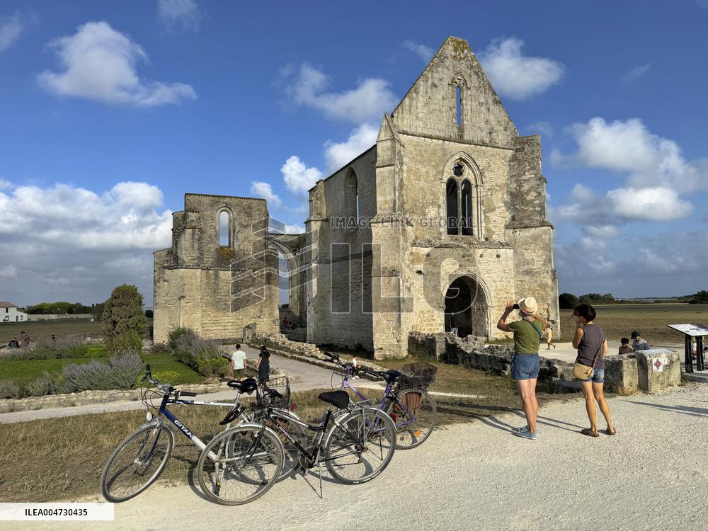 Illustration - Ile de Ré