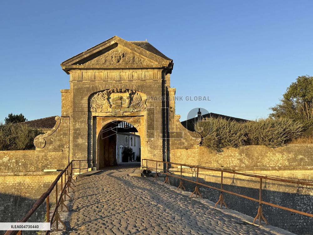 Illustration - Ile de Ré