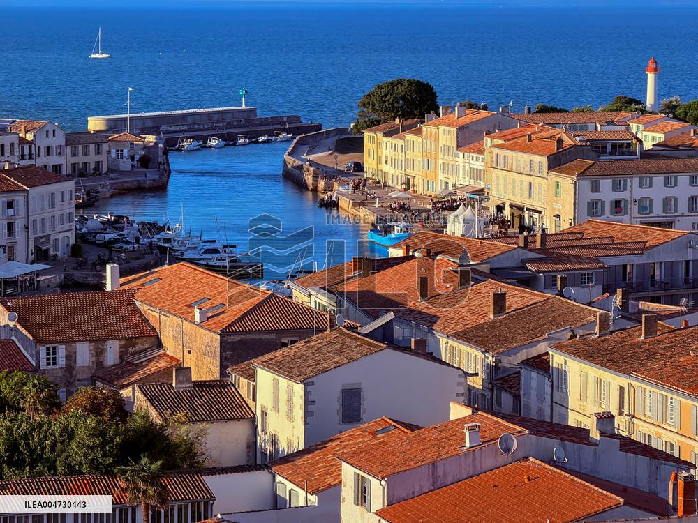 Illustration - Ile de Ré