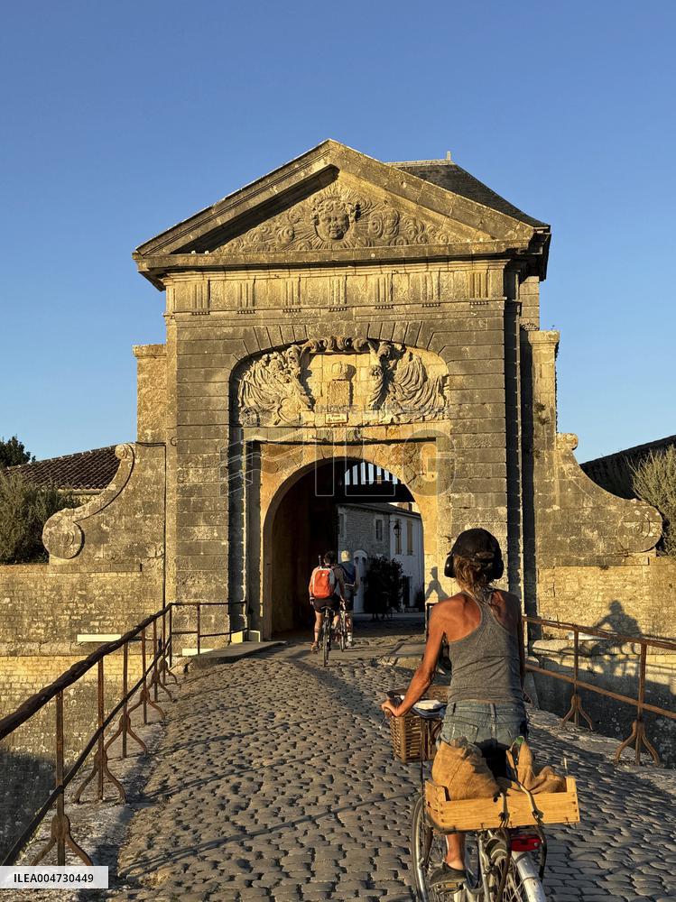 Illustration - Ile de Ré