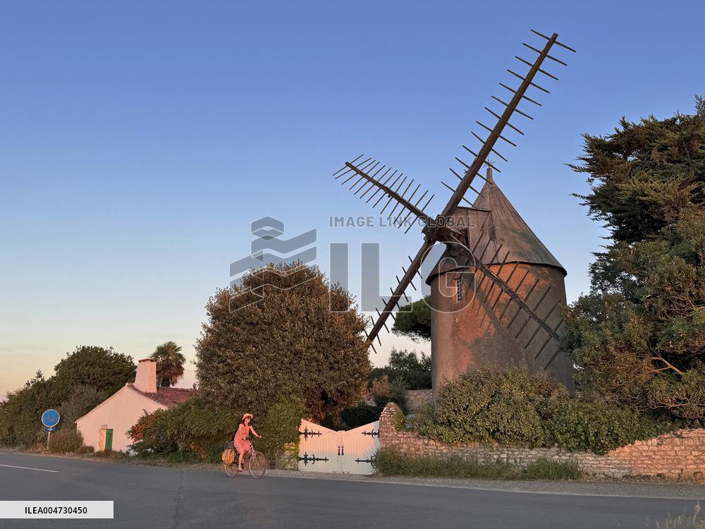 Illustration - Ile de Ré