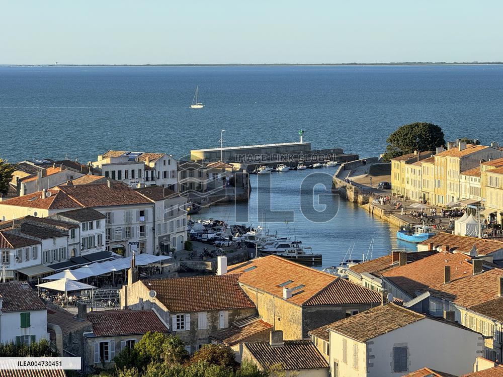 Illustration - Ile de Ré
