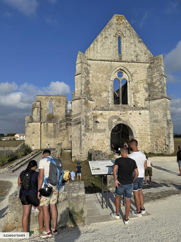 Illustration - Ile de Ré