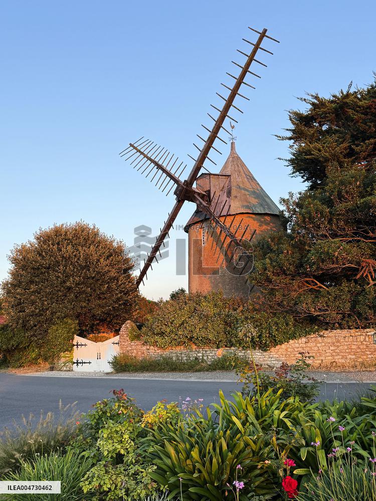 Illustration - Ile de Ré