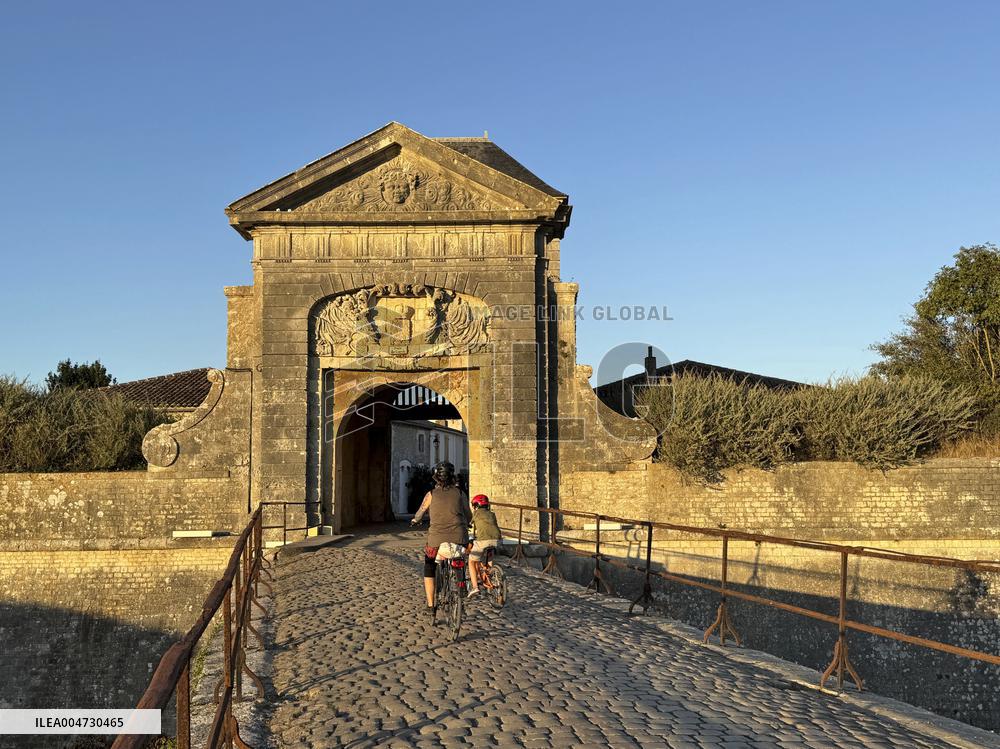Illustration - Ile de Ré