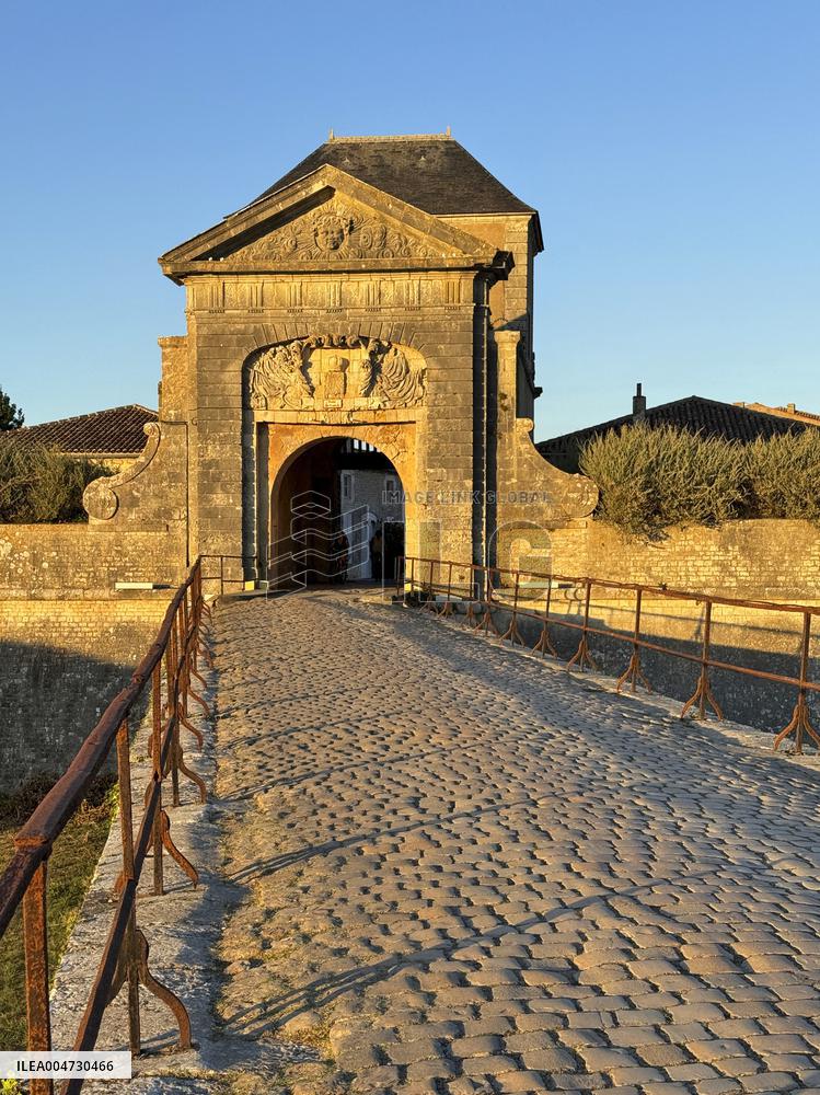 Illustration - Ile de Ré