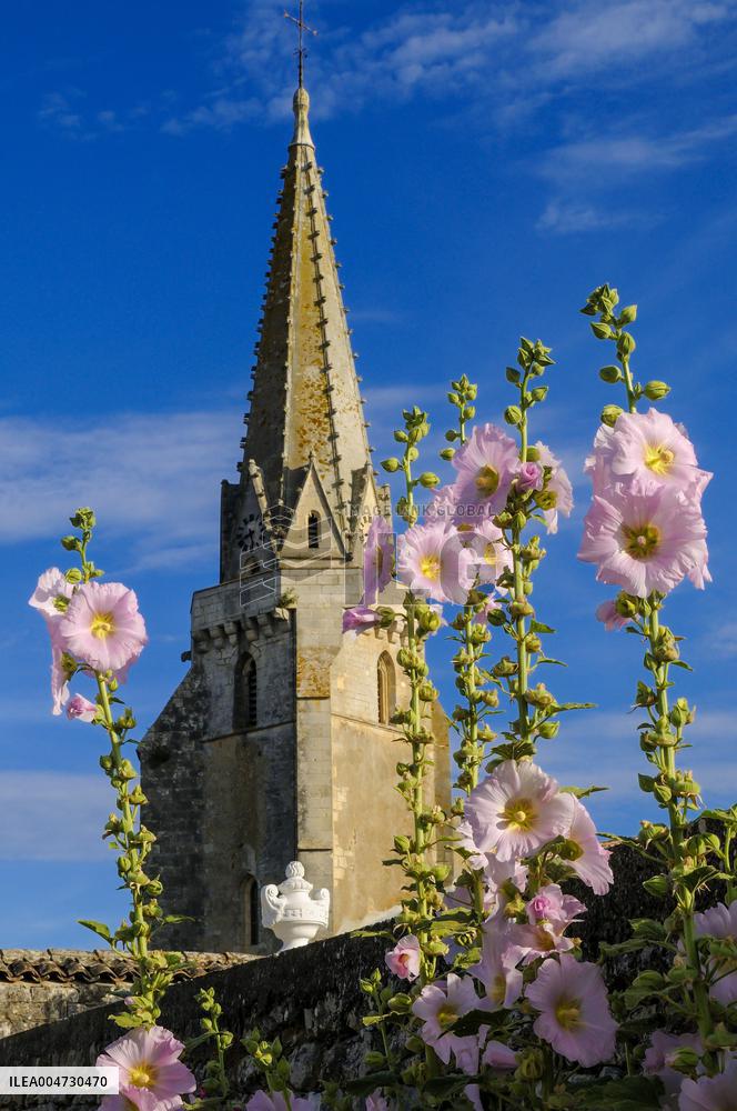 Illustration - Ile de Ré