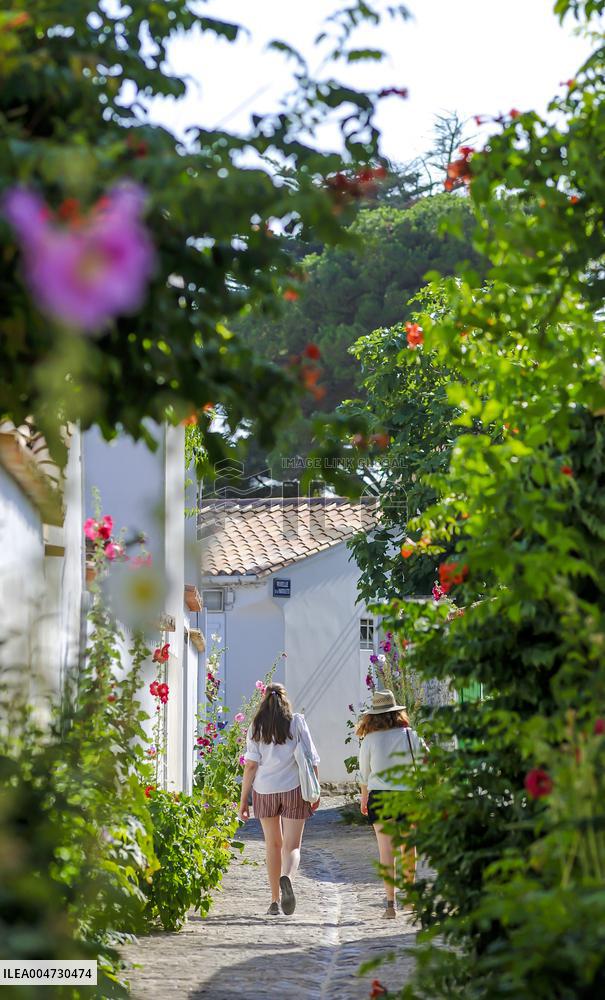Illustration - Ile de Ré