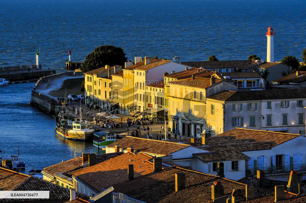 Illustration - Ile de Ré