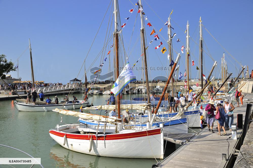 Illustration - Ile de Ré