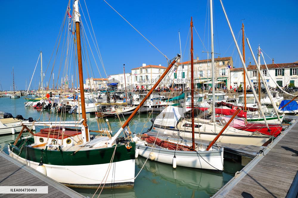 Illustration - Ile de Ré