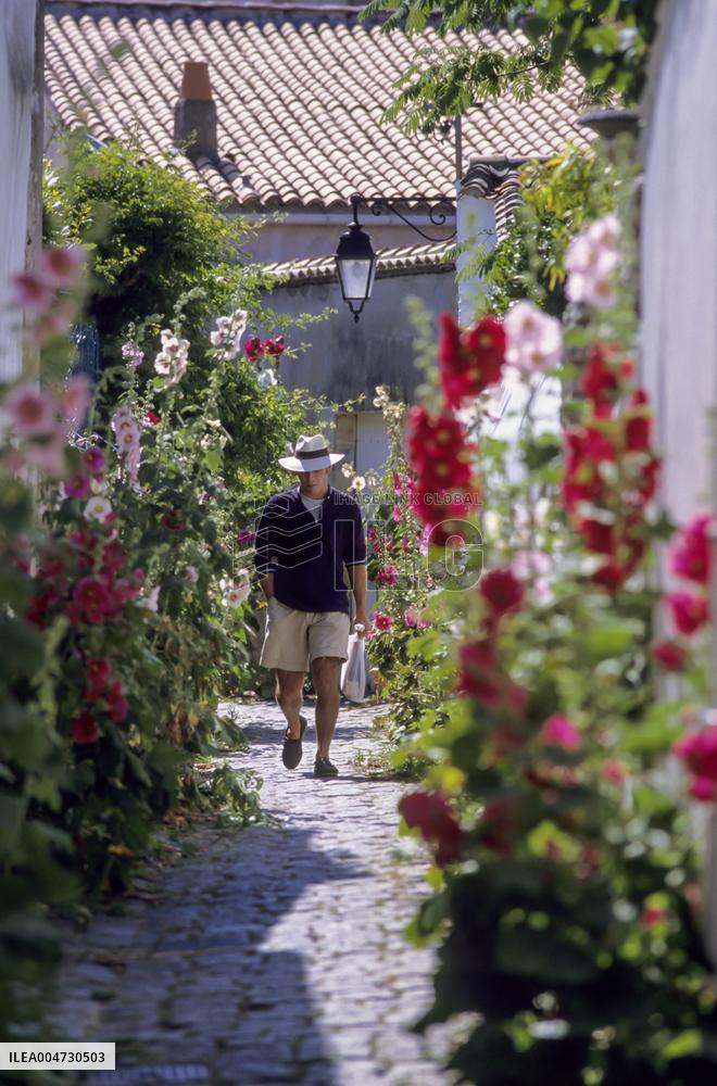 Illustration - Ile de Ré