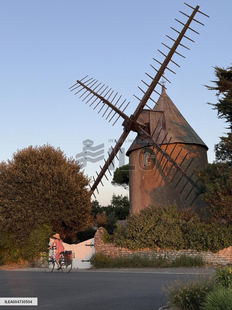 Illustration - Ile de Ré