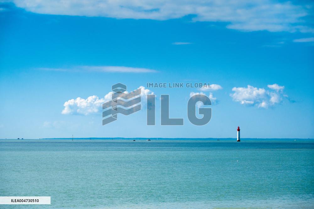 Illustration - Ile de Ré