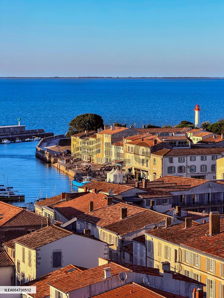 Illustration - Ile de Ré