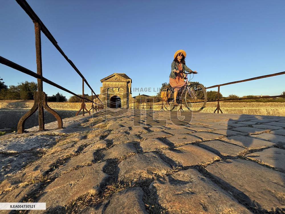 Illustration - Ile de Ré