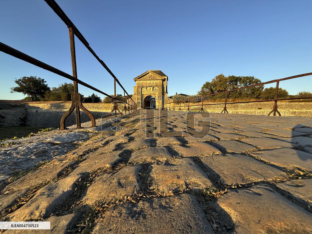 Illustration - Ile de Ré