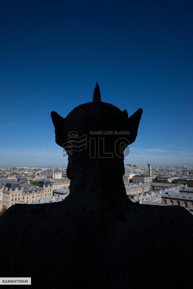 Inauguration of The Towers of Notre-Dame Cathedral - Paris