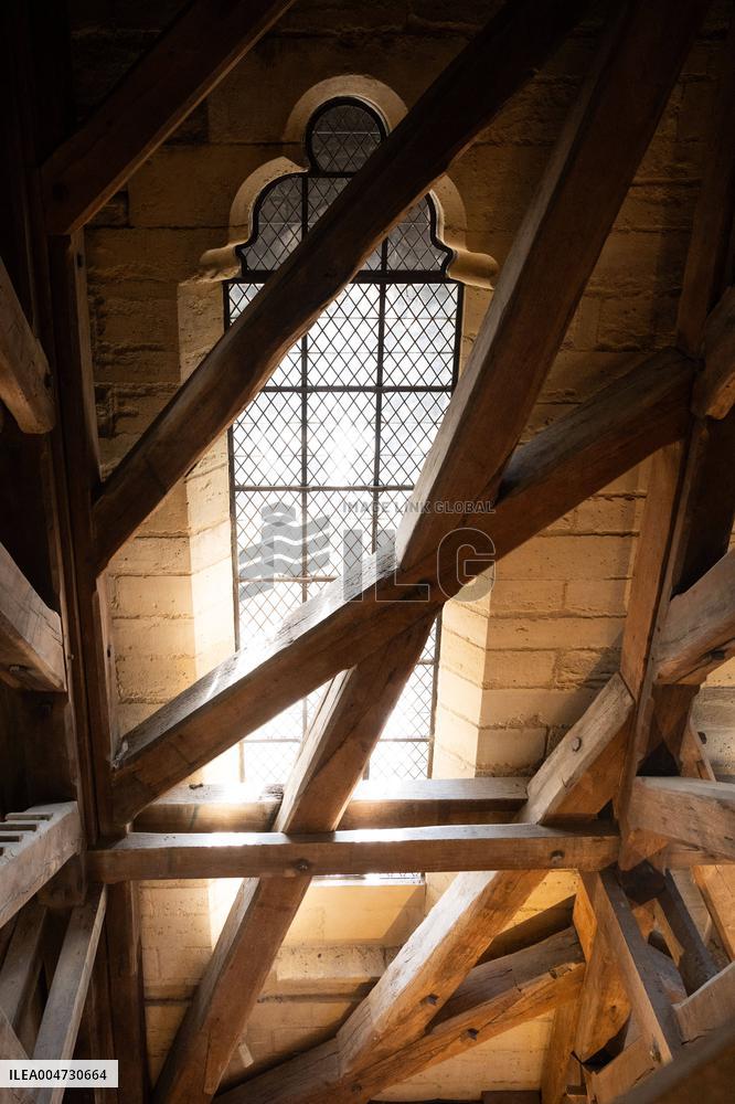 Inauguration of The Towers of Notre-Dame Cathedral - Paris