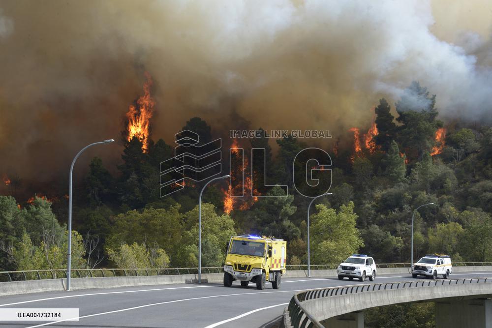 Fire in O Bolo affects more than 20 hectares