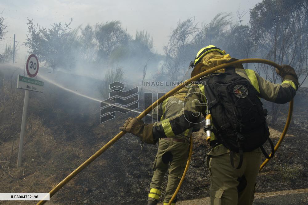 Fire in O Bolo affects more than 20 hectares