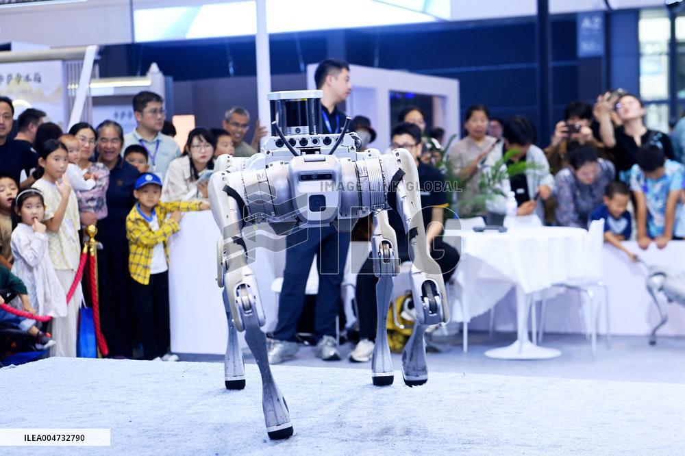 GHINA INTERNATIONAL CONLSUMER ELECTRIC EXPO 2025 in Qingdao