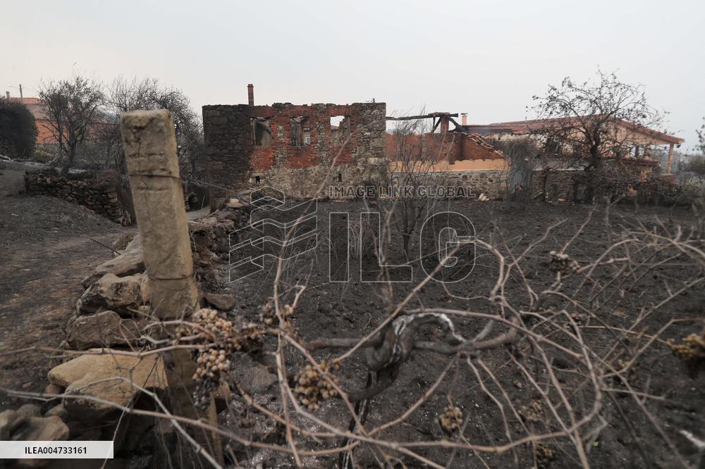 Panton Wildfire Has Already Devastated 2000 Hectares - Spain