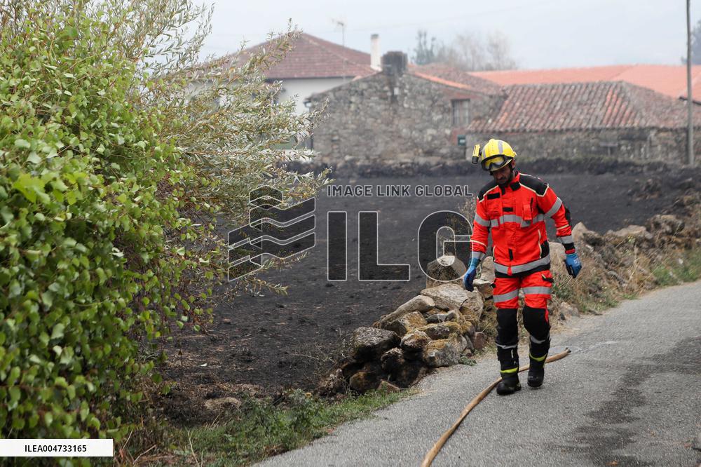 Panton Wildfire Has Already Devastated 2000 Hectares - Spain