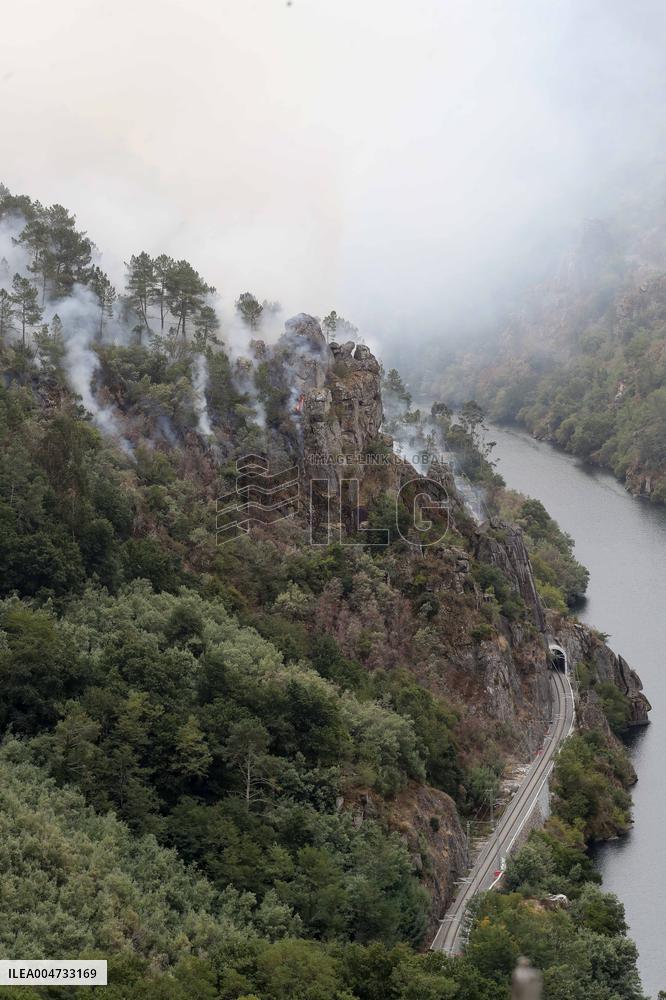 Panton Wildfire Has Already Devastated 2000 Hectares - Spain