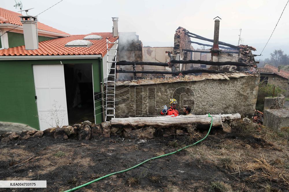 Panton Wildfire Has Already Devastated 2000 Hectares - Spain