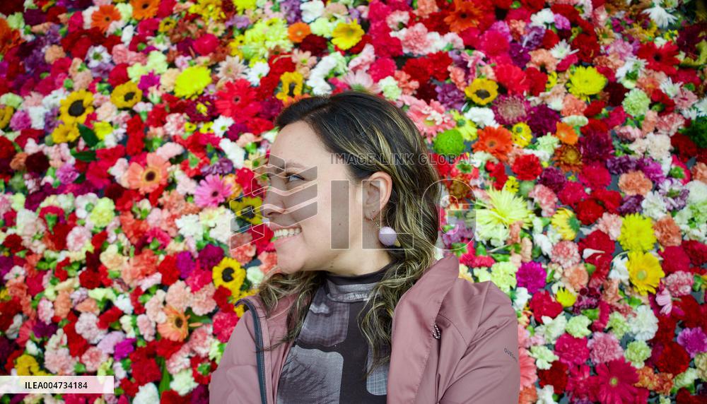 International Art Biennale BOG25 - Song of the River