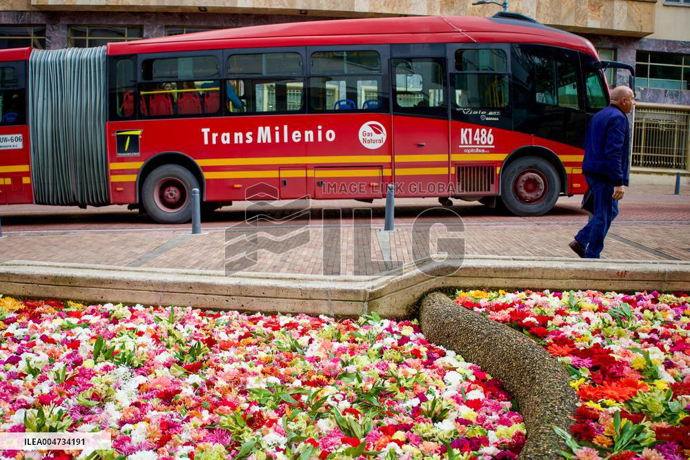 International Art Biennale BOG25 - Song of the River