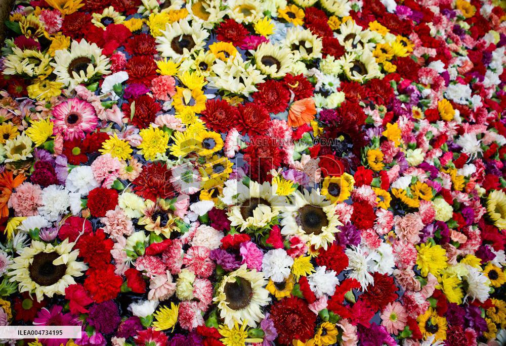 International Art Biennale BOG25 - Song of the River