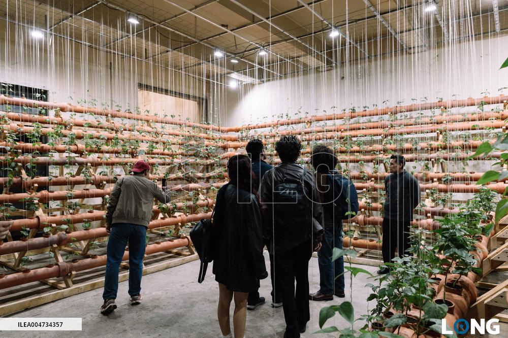 BOG25 - Inauguration