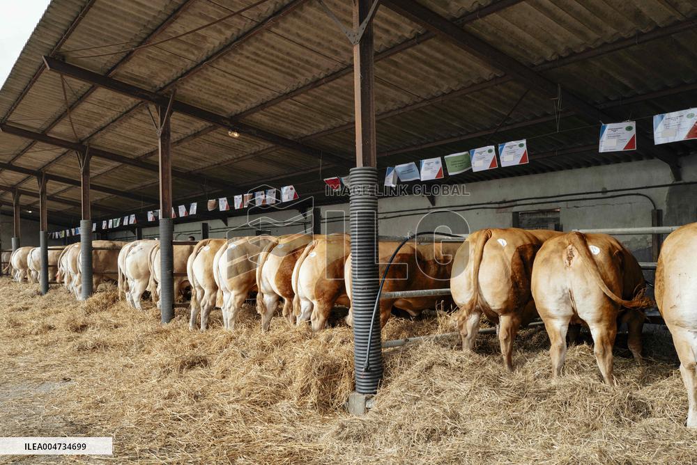 15th edition of Welcome to the Countryside - Montbeton