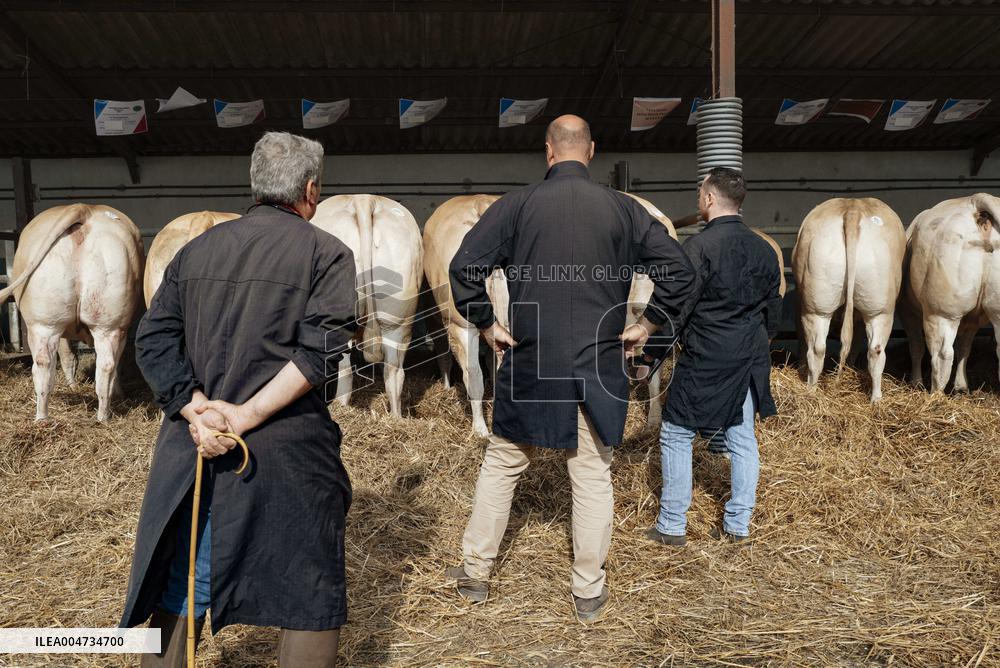 15th edition of Welcome to the Countryside - Montbeton