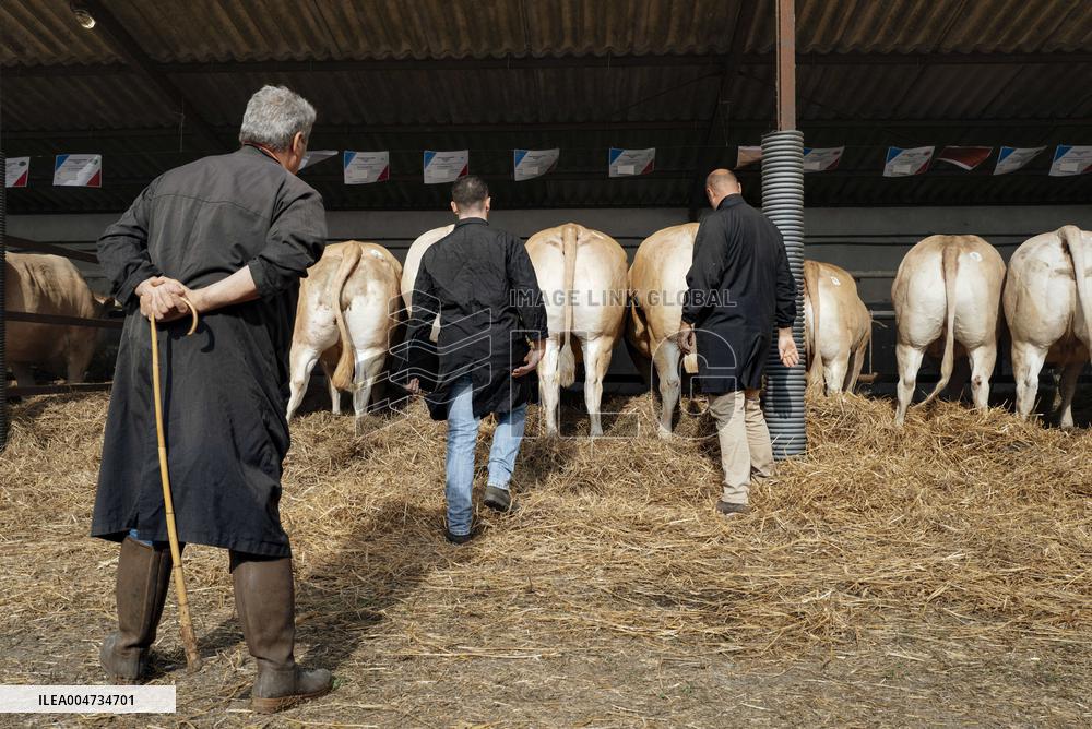 15th edition of Welcome to the Countryside - Montbeton