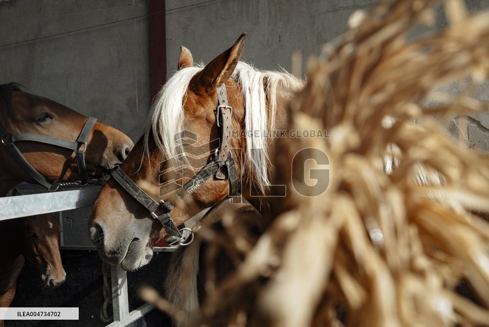 15th edition of Welcome to the Countryside - Montbeton