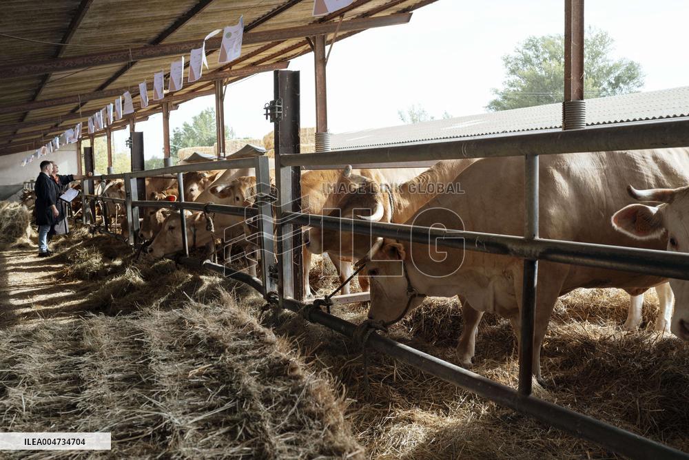 15th edition of Welcome to the Countryside - Montbeton