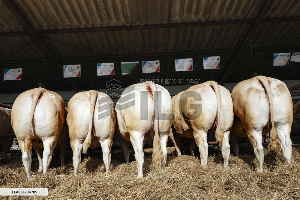 15th edition of Welcome to the Countryside - Montbeton