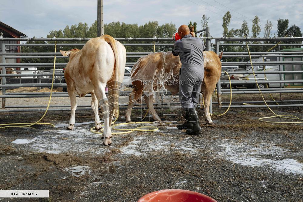 15th edition of Welcome to the Countryside - Montbeton