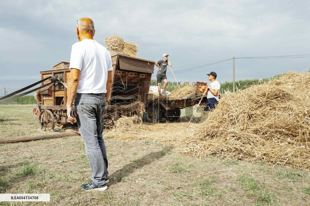 15th edition of Welcome to the Countryside - Montbeton