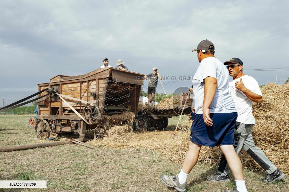 15th edition of Welcome to the Countryside - Montbeton