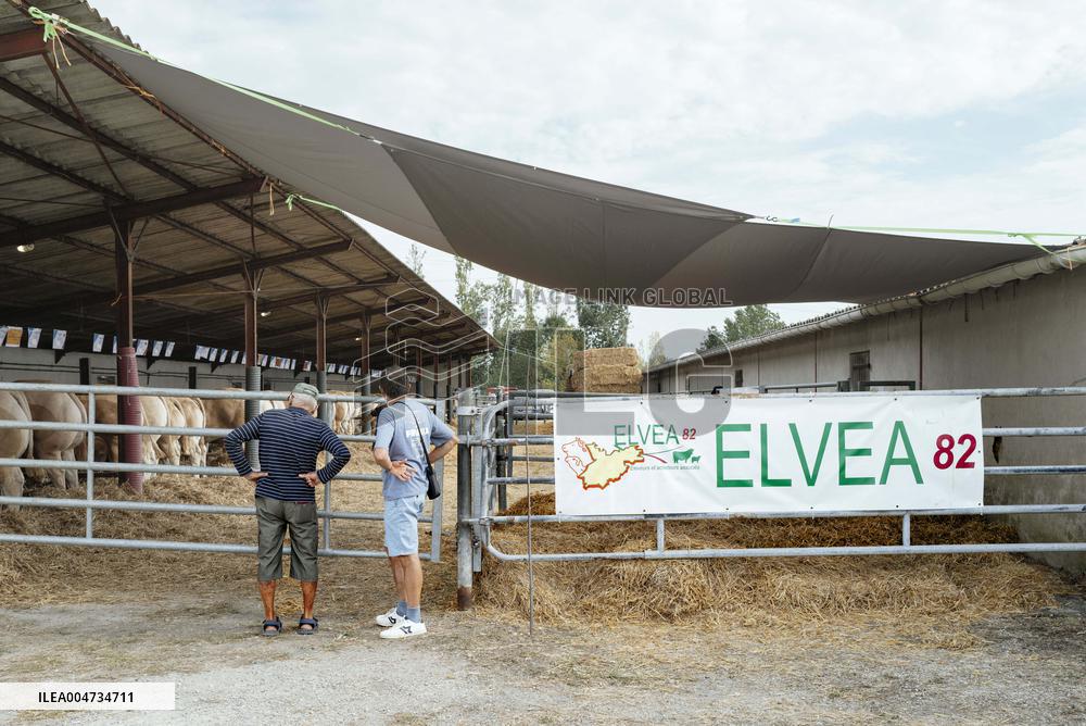 15th edition of Welcome to the Countryside - Montbeton