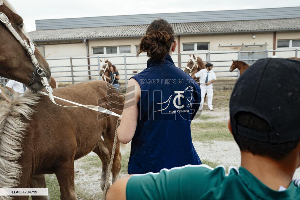 15th edition of Welcome to the Countryside - Montbeton