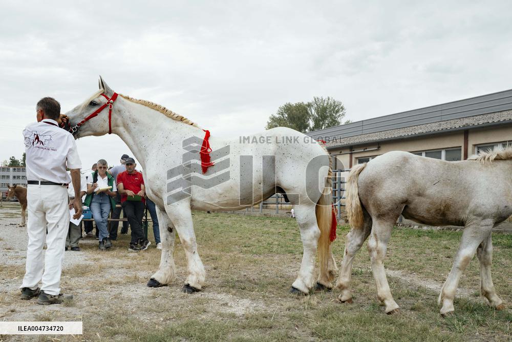 15th edition of Welcome to the Countryside - Montbeton
