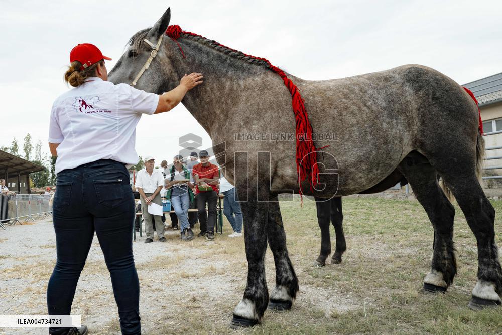 15th edition of Welcome to the Countryside - Montbeton